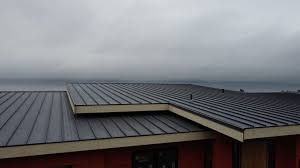 Best Roof Waterproofing  in Brookdale, CA